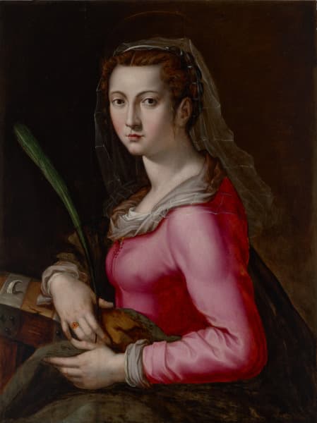 Foschi's seated Saint Catherine in a pink dress, holding a spiked wooden wheel